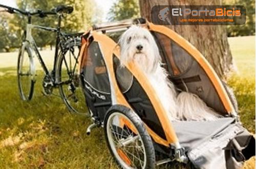 remolque bicicleta perros